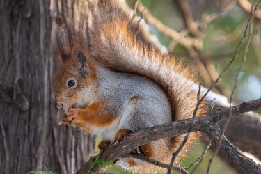 Similar image 22058316