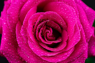 Similar image 22058325