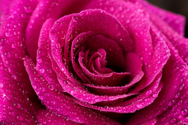 Similar image 22058327