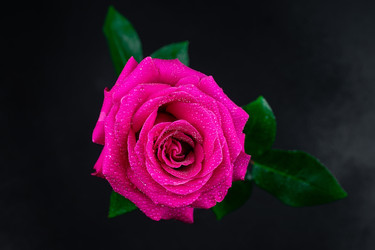 Similar image 22058334