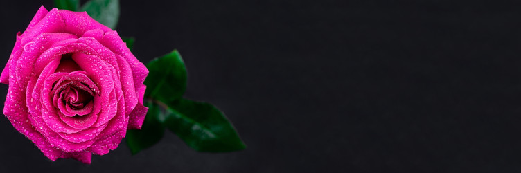 Similar image 22058338