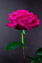 Similar image 22058339