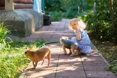 Similar image 22057804