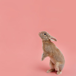 Similar image 22057806