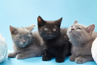 Similar image 22057808