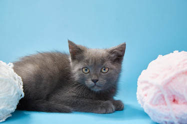 Similar image 22057809