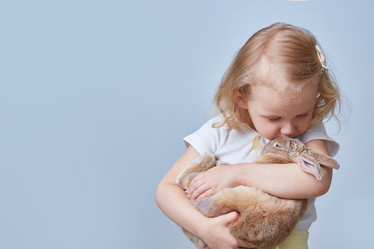 Similar image 22057811