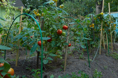 Similar image 22057818