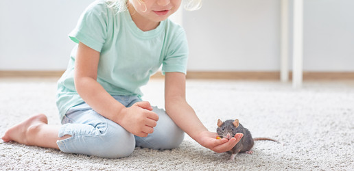 Similar image 22057829