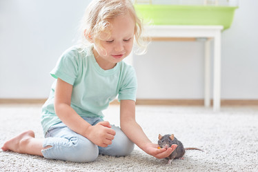 Similar image 22057830