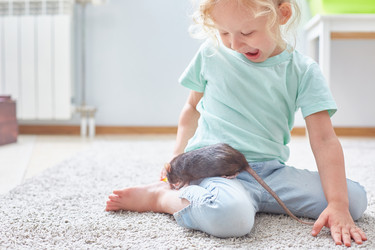 Similar image 22057832