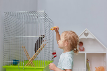 Similar image 22057833