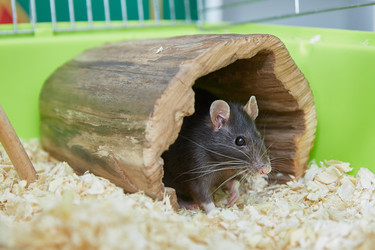 Similar image 22057835