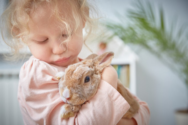 Similar image 22057582