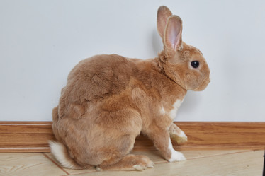 Similar image 22057586