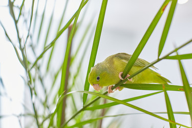 Similar image 22057589