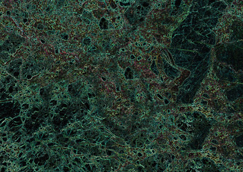 Similar image 22057016