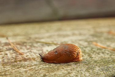 Similar image 22057595