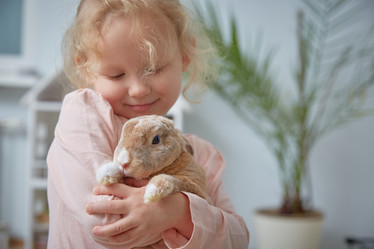 Similar image 22057604