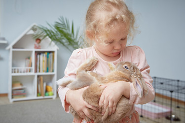 Similar image 22057606