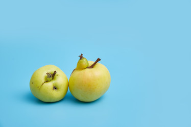 Similar image 22057610