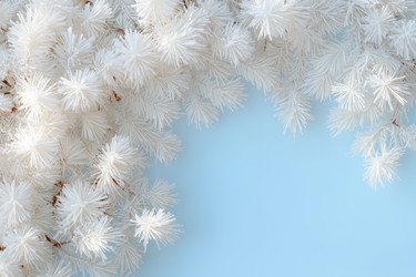 Similar image 22057538