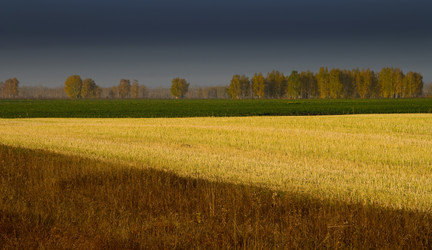 Similar image 22057018