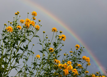 Similar image 22057019