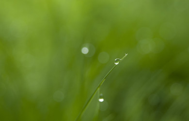 Similar image 22057020