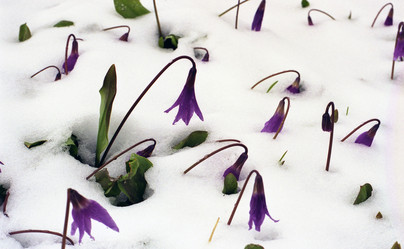 Similar image 22057021