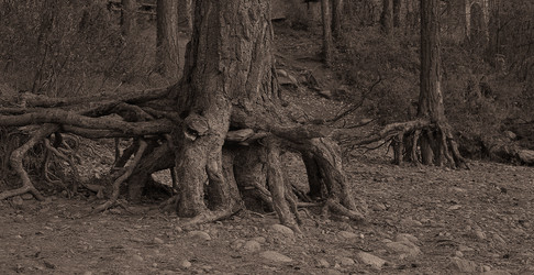 Similar image 22057022