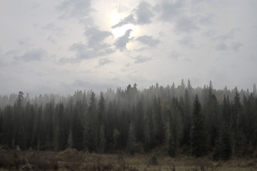 Similar image 22057023