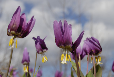 Similar image 22057039