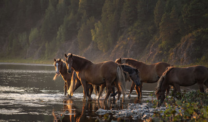 Similar image 22057040