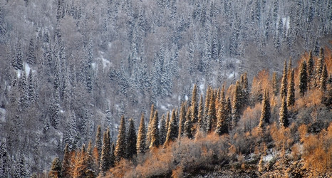 Similar image 22057041