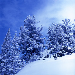 Similar image 22057042