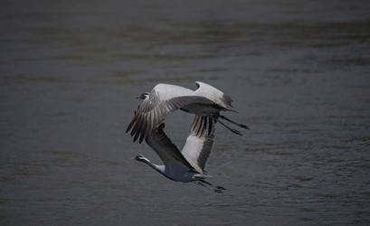 Similar image 22057043