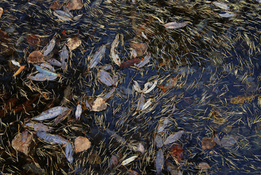 Similar image 22057044