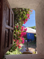 Similar image 22058366