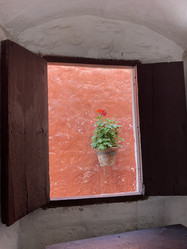 Similar image 22058367