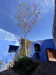 Similar image 22058368