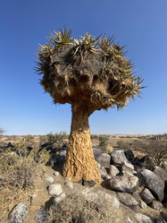 Similar image 22058372