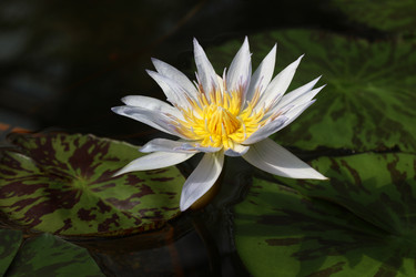 Similar image 22057367