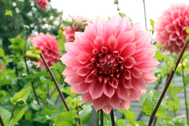 Similar image 22057371