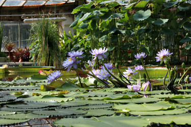 Similar image 22057373