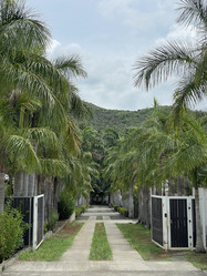 Similar image 22057181