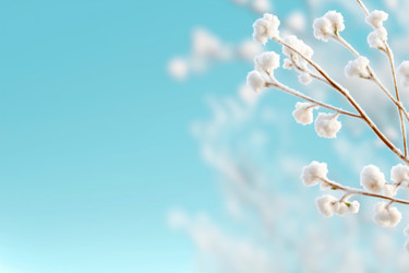 Similar image 22057502