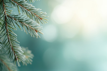 Similar image 22057542