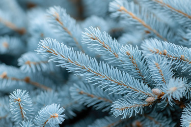 Similar image 22057546