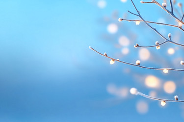 Similar image 22057549